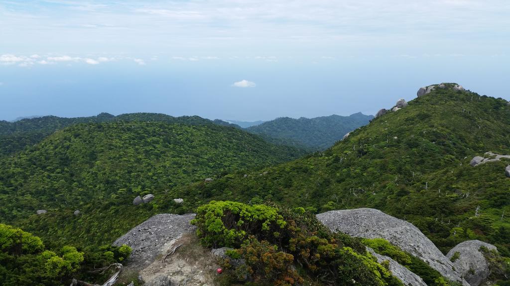 Minnsyuku Yakushimaya Yakushima  Buitenkant foto