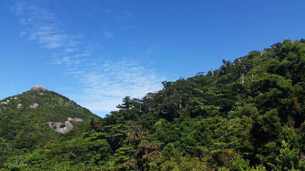 Minnsyuku Yakushimaya Yakushima  Buitenkant foto
